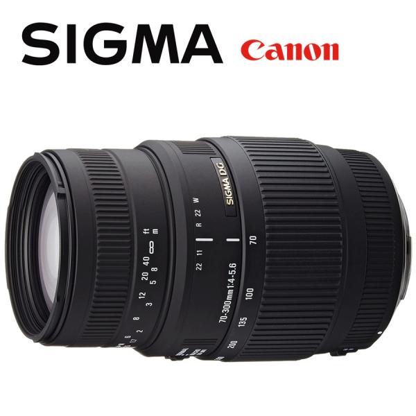 camerart-shop_sigma-70-300mmf4 camerart-shop_sigma-70-300mmf4