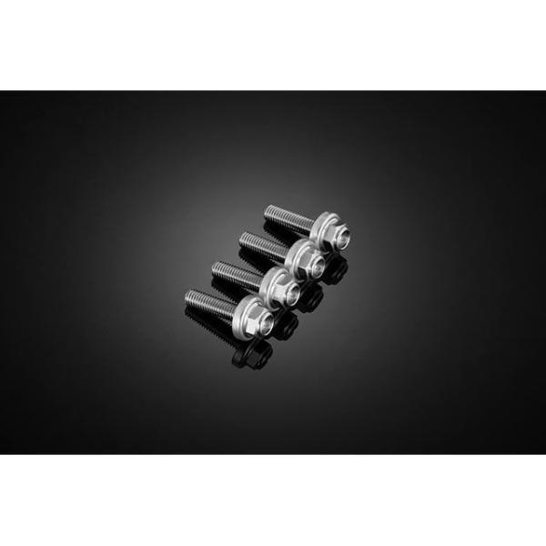 BIKERS（バイカーズ） スクリーン用ステンボルトセット カラー