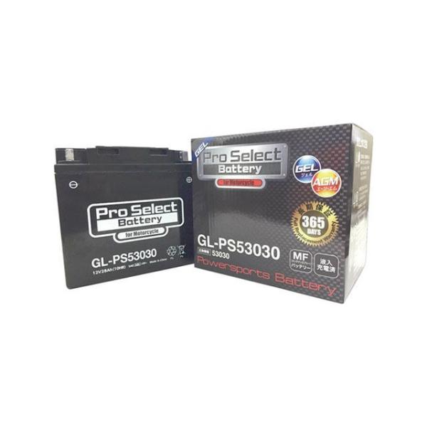 他サイト： 【メーカー直送】プロセレクトバッテリー 汎用 GL-PS53030（53030互換） ジェルタイプ 液入り充電済み Pro Select Batte…の商品画像