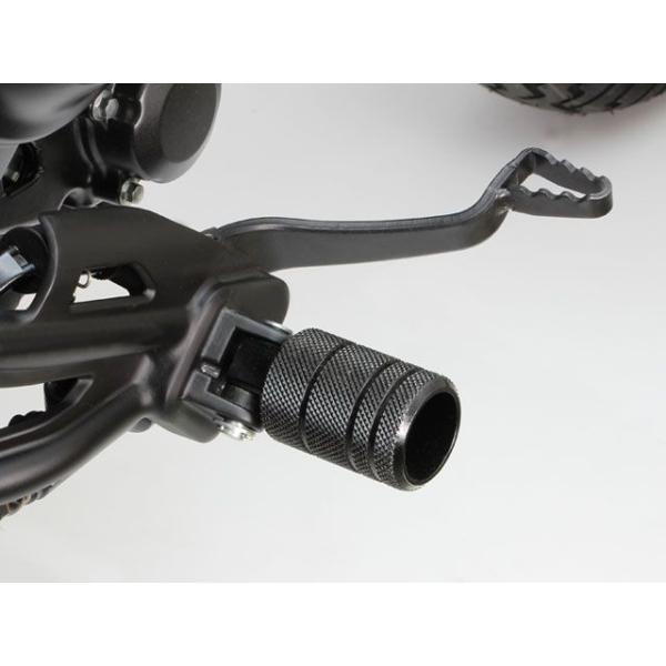 camp_233196-876016_1_d_20240314224108