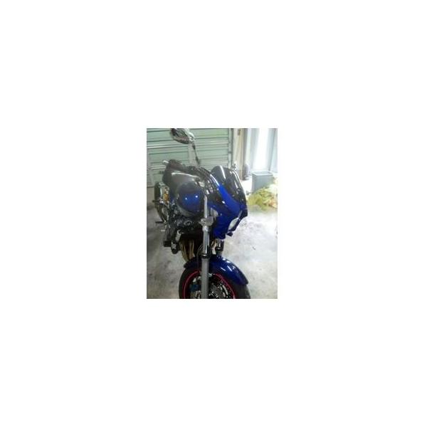 ワールドウォーク（WORLD WARK） XJR1300 XJR400R 汎用ビキニカウル DS