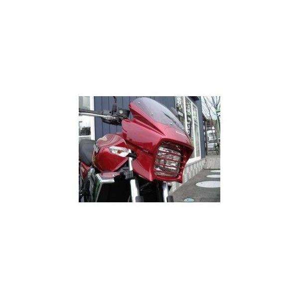 PLEASURE（プレジャー） ZRX1200DAEG ヘッドライトルーバー カラー