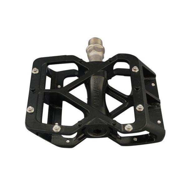 camp_537121-1780080_1_d_20240427024034