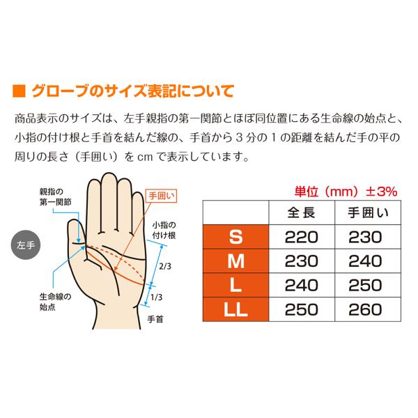 campswamp_csg-016_3_d_20240625143118