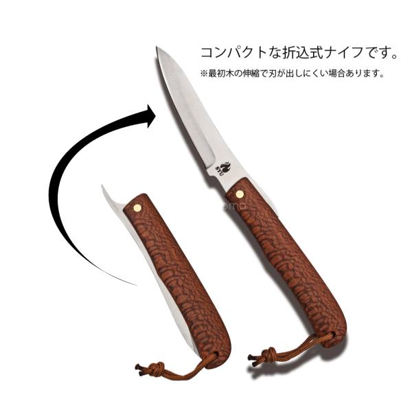 campswamp_cso0013_2_d_20221102152814