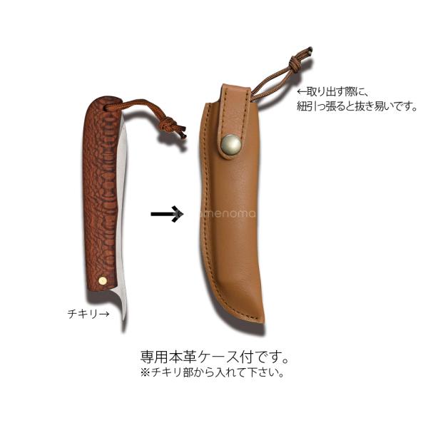 campswamp_cso0013_4_d_20221102152819