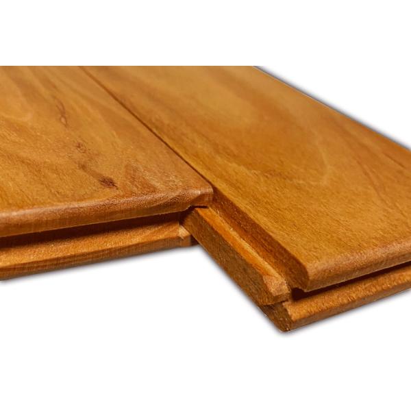 campswamp_yfc-1_2_d_20221031143816