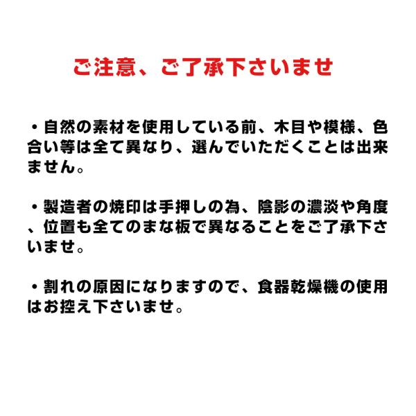 campswamp_yfc-1_3_d_20221031143821