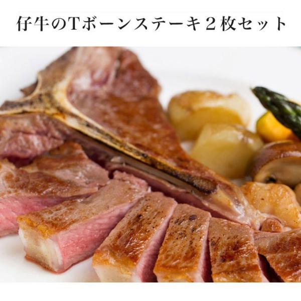 yzeT{[Xe[LQZbg s{[Xe[L qXe[L  Ԑg t ؂ Xe[L 