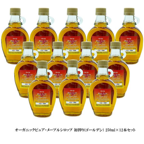 メープルシロップ 250m 限定ロット 初搾り ×12本 激安 お得セット