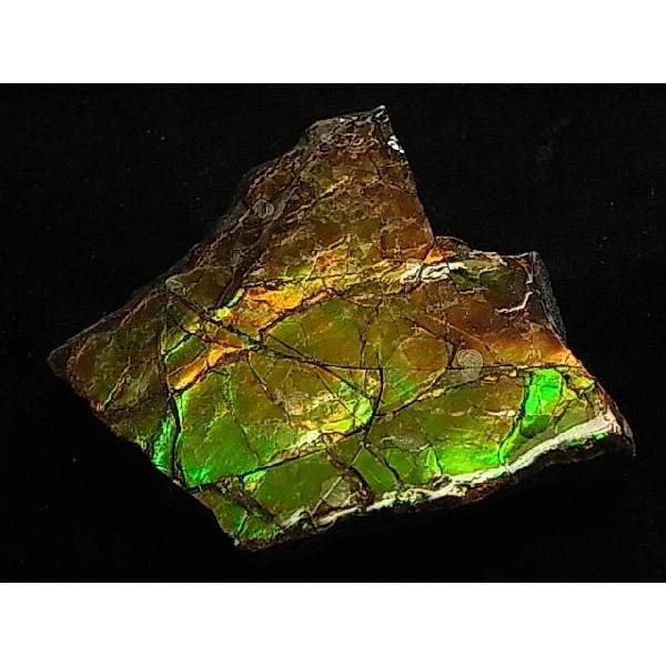 カナダ の 稀少 な 化石 宝石 【 アンモライト 原石 破片 】 KORITE