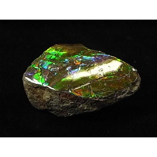 カナダ の 稀少 な 化石 宝石 【 アンモライト 原石 破片 】 KORITE