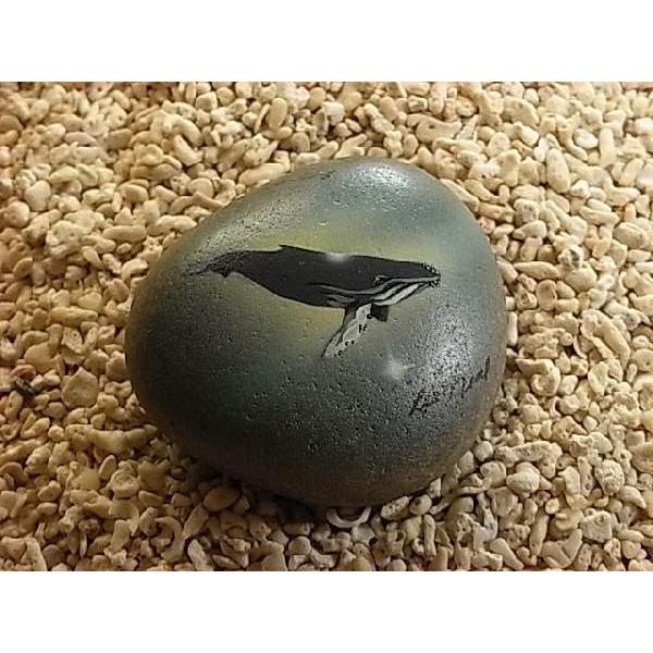 yUgENW`lC`[A[gzBay Life Art