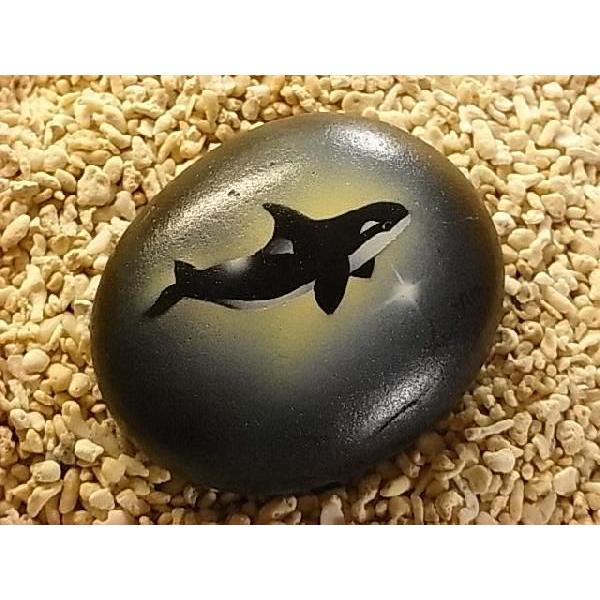 �y�V���`��`���l�C�`���[�A�[�g�zBay Life Art��