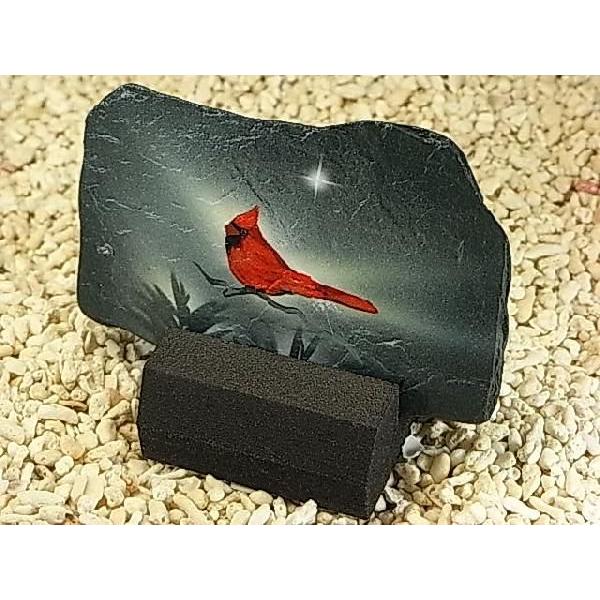 �y�J�[�f�B�i����`���l�C�`���[�A�[�g�zBay Life Art��