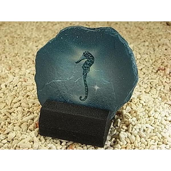 �y�^�c�m�I�g�V�S��`���l�C�`���[�A�[�g�zBay Life Art��