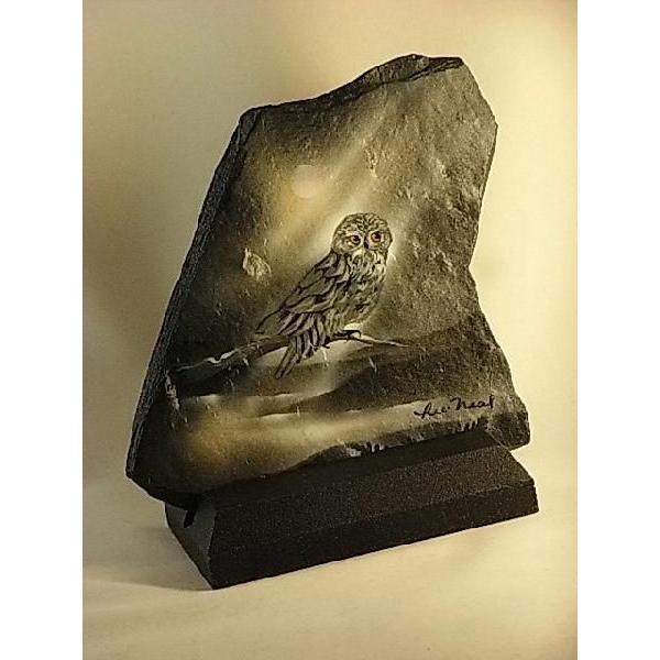 ytNE`lC`[A[gzBay Life Art