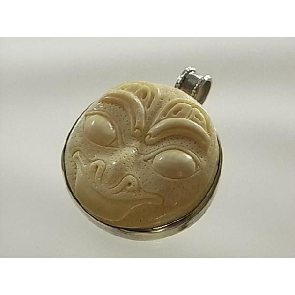 y}X剻΃y_ggbvzCanada FossilsА