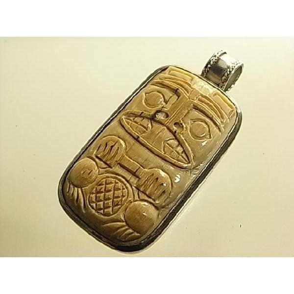 y}X剻΃y_ggbvzCanada FossilsА