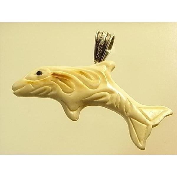 y}X剻΃y_ggbvzCanada FossilsА