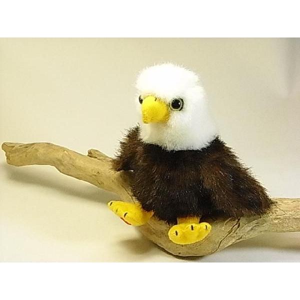 yVʂ݁zStuffed Animal HouseА