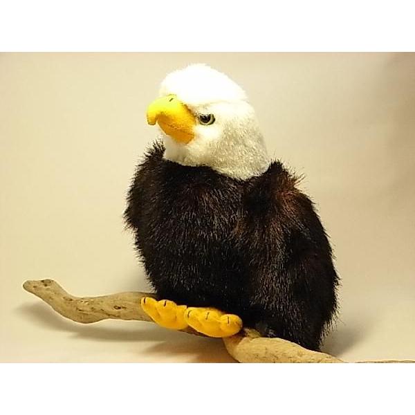 ynNgEVʂ݁zStuffed Animal HouseА