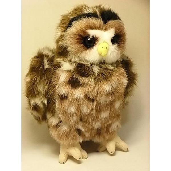 絶滅危惧種！ニシアメリカフクロウぬいぐるみ】Stuffed Animal