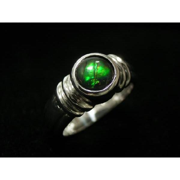 アンモライト シルバーリング 稀少な化石宝石アンモライト・【シルバーリング】Korite社