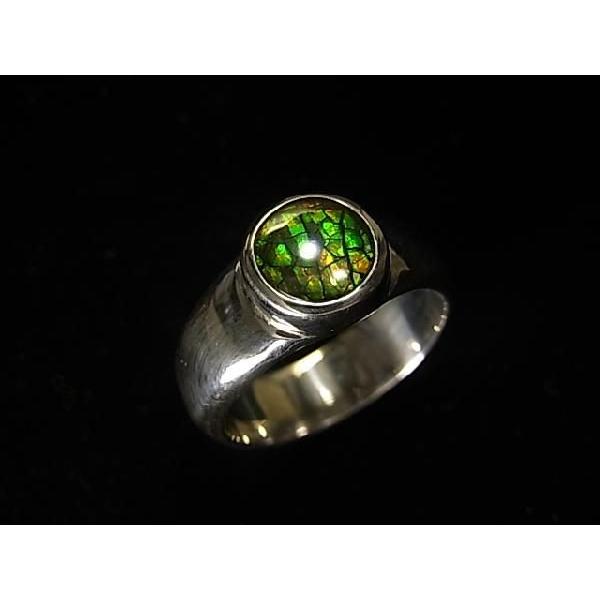 稀少な化石宝石アンモライト・【シルバーリング】Korite社