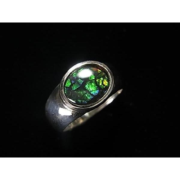 稀少な化石宝石アンモライト・【シルバーリング】Korite社