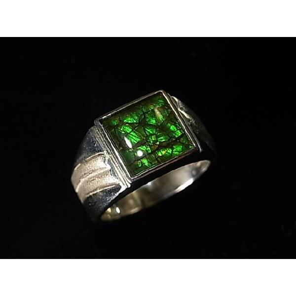 アンモライト 指輪」の人気商品一覧 | 安い商品を通販サイトから探す