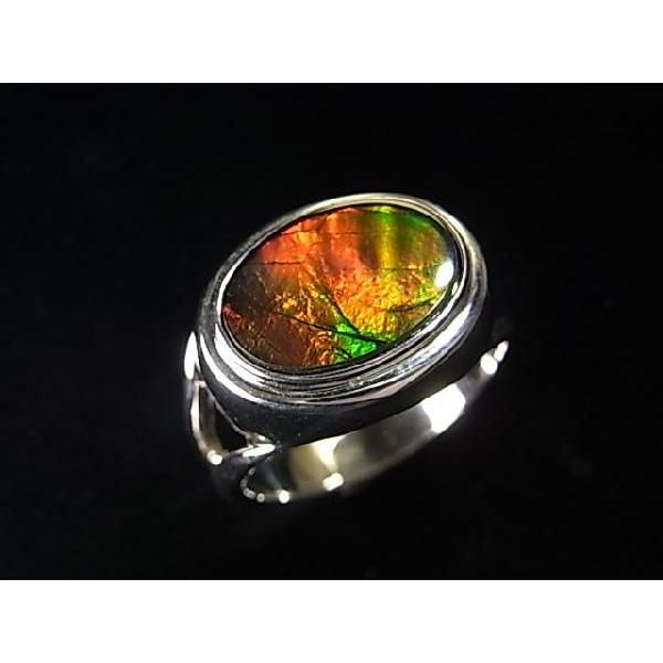 アンモライト シルバーリング シルバーリング（指輪）