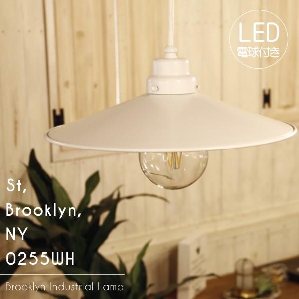 エジソン型 レトロ型 LED付き】ペンダントライト 天井照明 インテリア