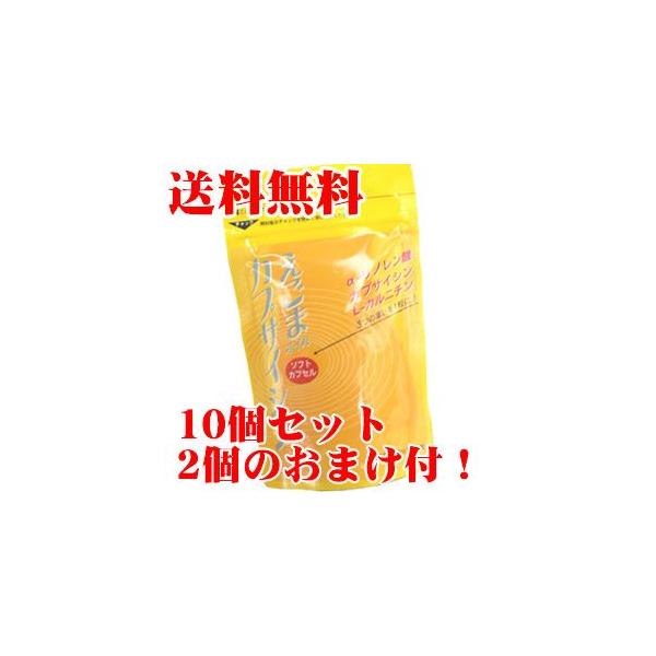 ܃JvTCV 10Zbg{2܂ GS}JvTCV