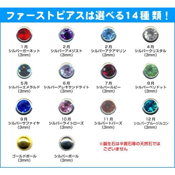 片耳用ピアッサー ピナック2 Pinac Ii ピアス ピアサ Buyee Buyee 日本の通販商品 オークションの代理入札 代理購入