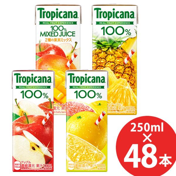 キリン トロピカーナ100% 250ml×48本 (24本×2ケース) 紙パック (送料無料) KIRIN 果汁100％ ジュース  アップル フルーツ