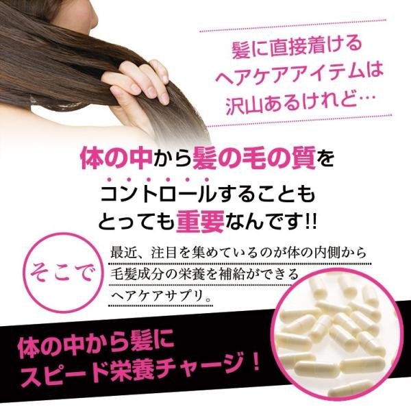 艶髪ヘアケアサプリ Sarana サラナ Buyee Buyee Japanese Proxy Service Buy From Japan Bot Online