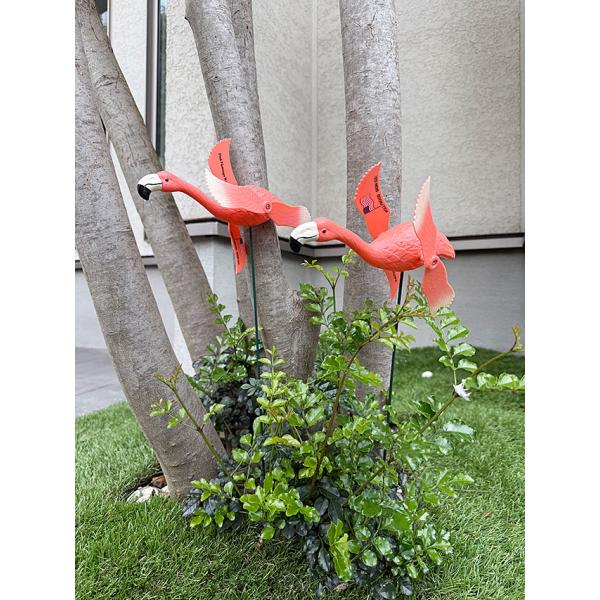 涼しげな南国のフラミンゴが庭先でお出迎え！ピンクフラミンゴのガーデンオブジェです。付属のスティックを本体にズボッと刺すだけで簡単に庭に設置できる屋外で飾れるタイプのオーナメントです。風を受けると羽が回転しフラミンゴが羽ばたいているようにみえ...