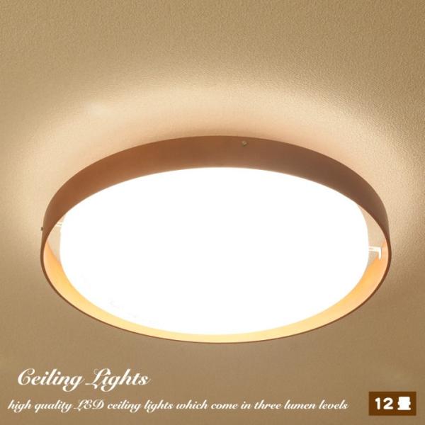 V[OCg LED 12 ؘg Rt  F  k 邢 Ɩ V rO _CjO Ɩ VƖ ȃGl ߓd i a