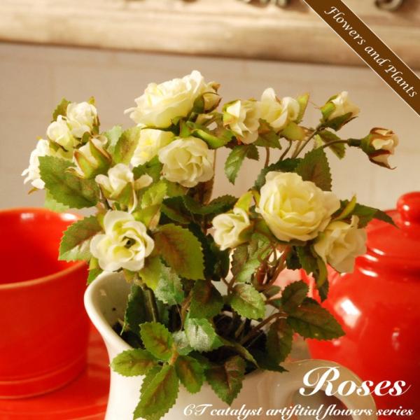 ϗtA  Mini Rose [Y o L  AW ԕr Ԋ CTG} lHA L R h CeA A[gt[ Mtg