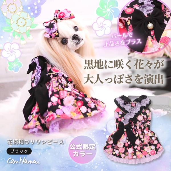 1165 花柄和ロりワンピース華やか和ロリで季節のドレスアップ色とりどりの花々があでやかに生地に映えて、和のドレスアップを存分に楽しめます。上身はカシュクール風のデザインで、レースフリルを丁寧にほどこし、全体が縦にきれいに見えるように仕立て...