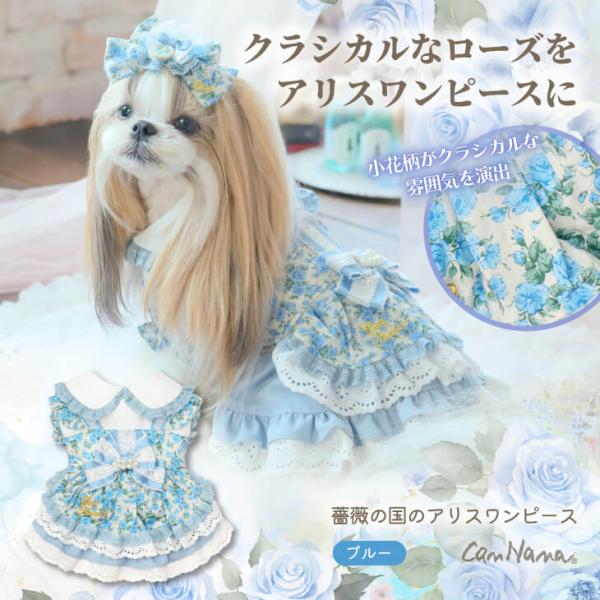 犬服 ワンピース ワンピ 不思議の国のアリス きゃんナナ ブランド コスプレ 小型犬 撮影会 フリフリ 1187　ブルー