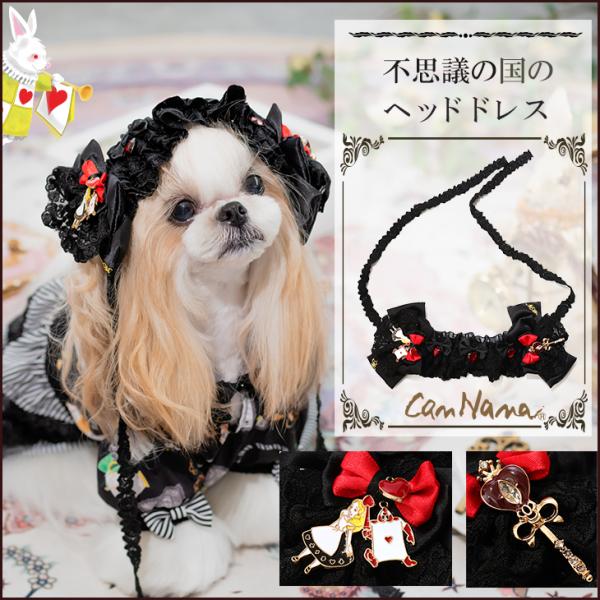 トランプ ペットの人気商品 通販 価格比較 価格 Com