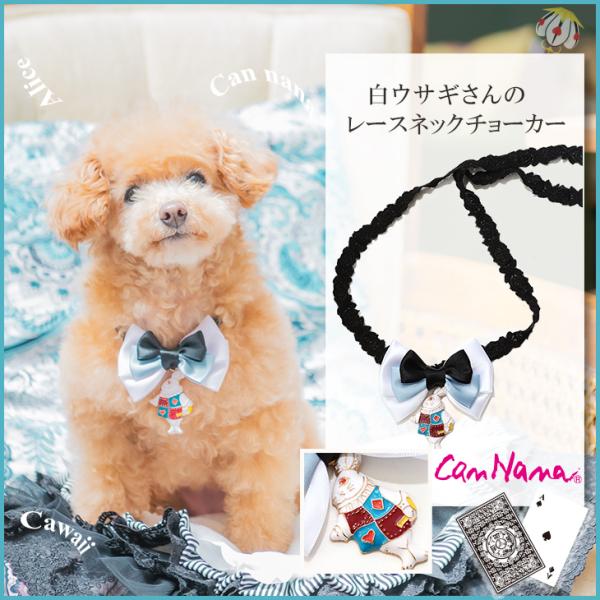 犬 服 犬服 ブランドブランド 小型犬 シーズー トイプードル チワワ