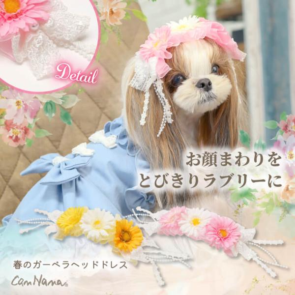 cannanaonline_04-hd023