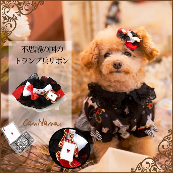 トランプ 犬 ペットの人気商品 通販 価格比較 価格 Com