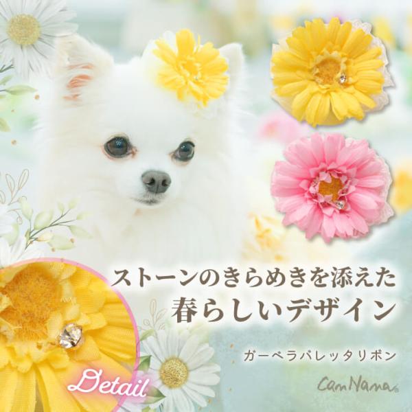 リゼッタ　パティ　リボンストライプ リゼッタ パティ リボンストライプ リゼッタ パティ リボン