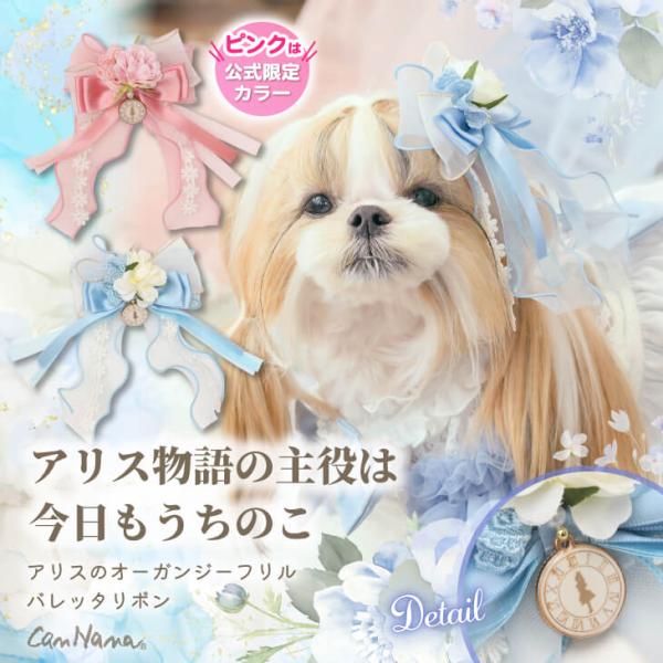 きゃんナナ　アリス　L バレッタつき CanNana バレッタリボン ドッグアクセサリー 不思議の国のアリス きゃ