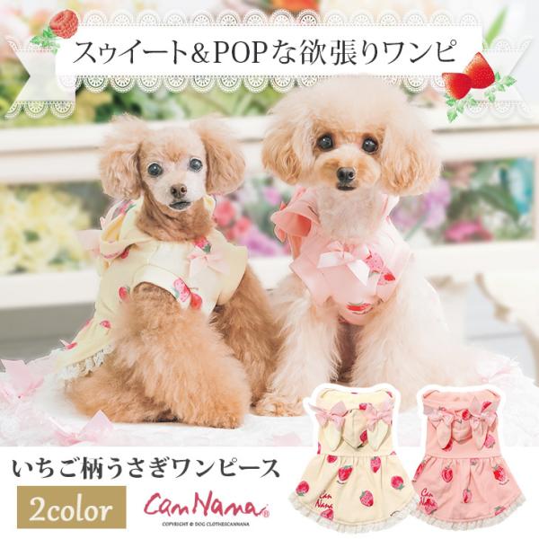 ワンピース うさぎ - 犬用ペット服の人気商品・通販・価格比較 - 価格.com