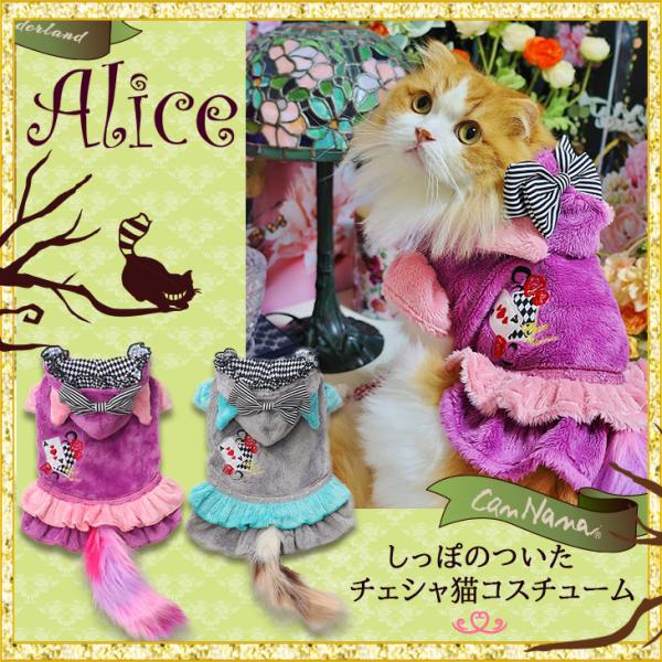 不思議の国のアリス チェシャ猫衣装セット cannanaonline_1076